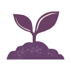 Peat-Free Compost & Organic Growing Media