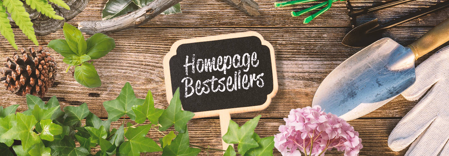 Homepage Bestsellers