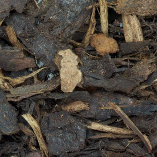 8-40mm_play_bark_1.jpg