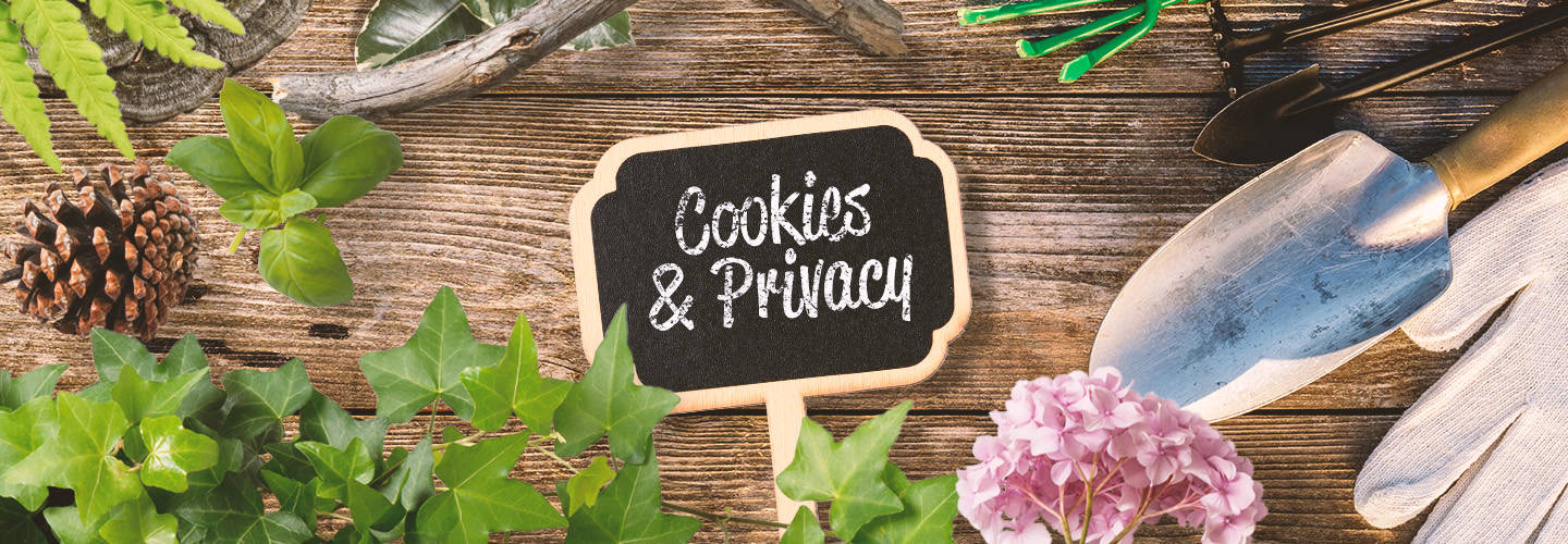 Cookies & Privacy