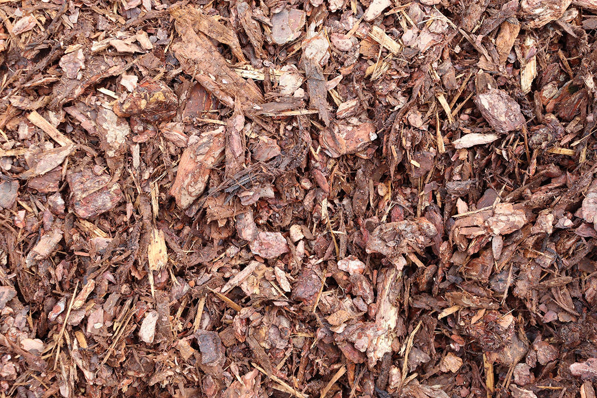 Bagged Pine Bark Mulch – The Yard Stop Inc.