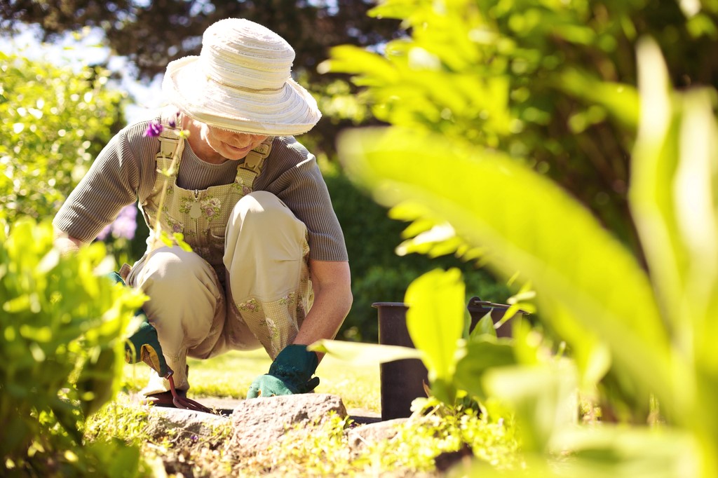 Why gardening can help with mental health
