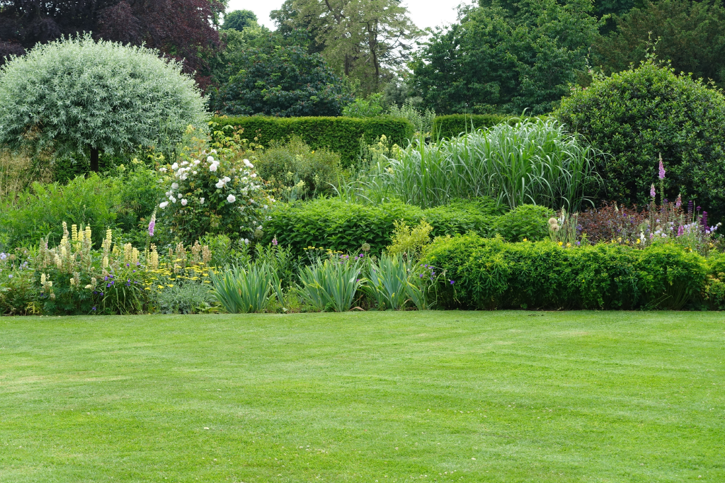 Create the lawn of your dreams with gardoo grass seed mixes