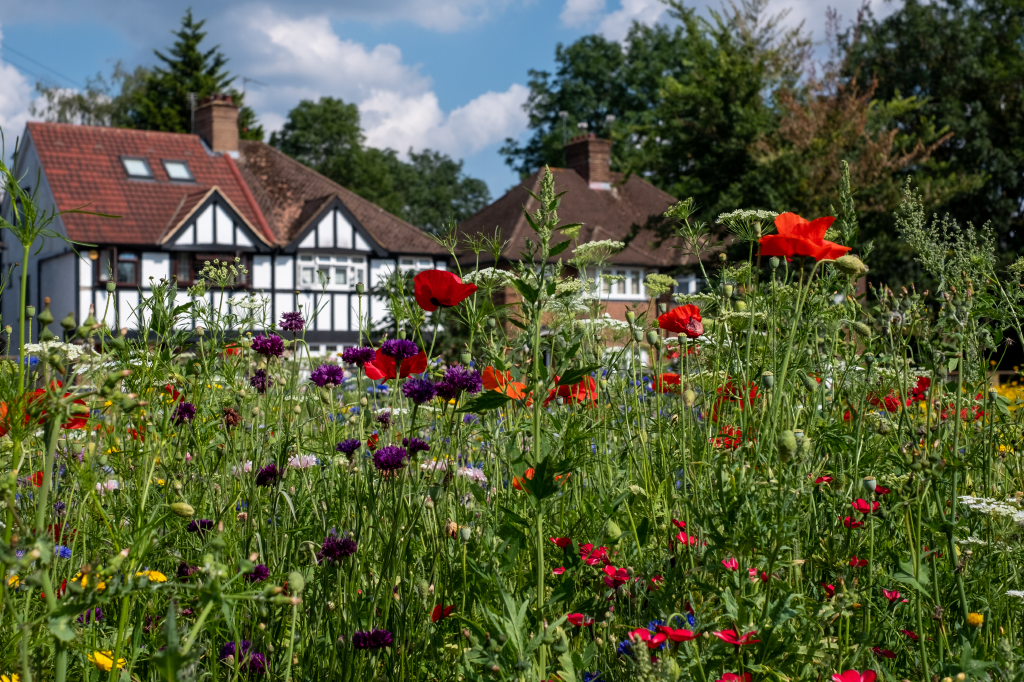 Giving back to nature is leading 2022 landscaping trends